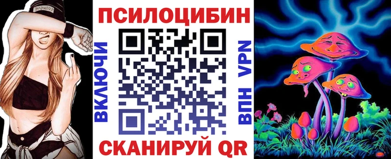Псилоцибиновые грибы Cubensis  Североуральск 