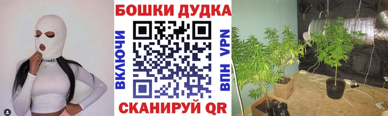 Марихуана SATIVA & INDICA  наркотики  Североуральск 